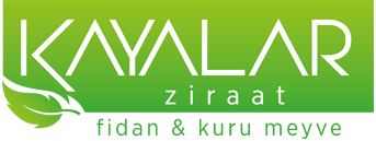 Kayalar Ziraat